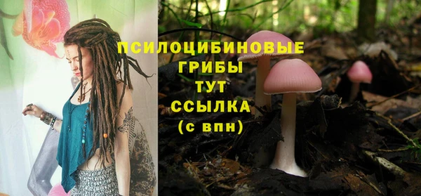 МДПВ Корсаков