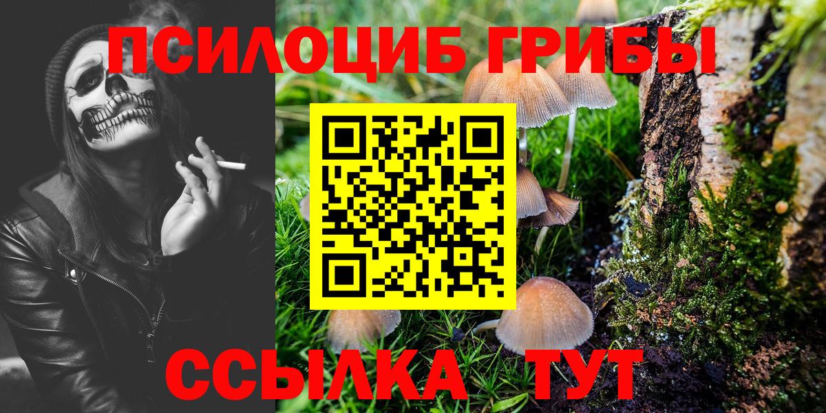 Фрязино  Галлюциногенные грибы прущие грибы  Вход с VPN  Галлюциногенные грибы Psilocybe 